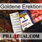 Golden Erection 11